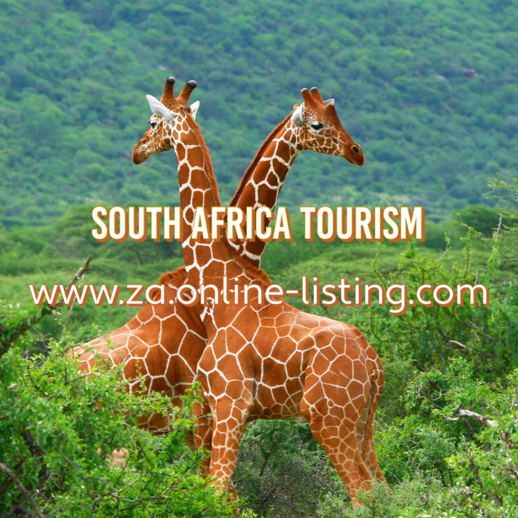 South Africa Tours